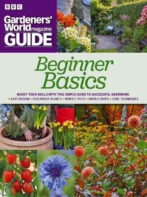 cover image of Beginners Basics 2023